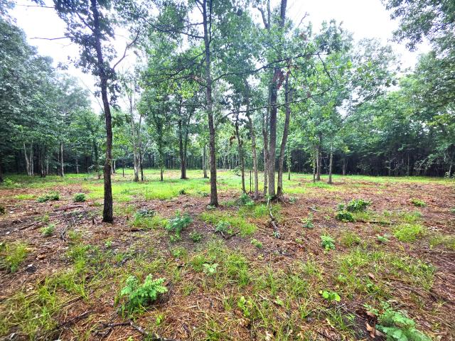 Land for sale in Tennessee