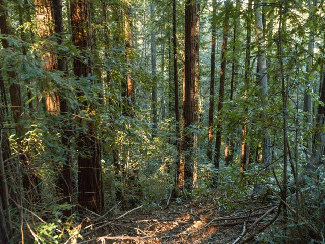 Land for sale in Ben Lomond, California