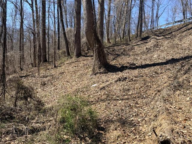 Land for sale in Virginia