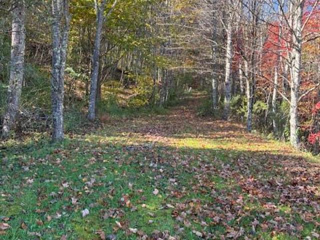 Land for sale in Virginia