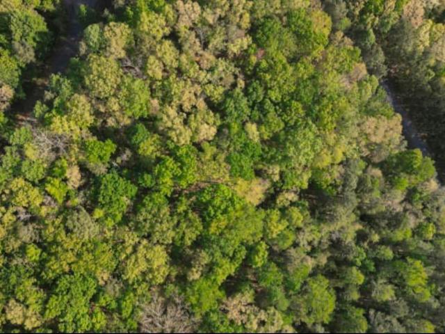 Land for sale in Blount, Alabama