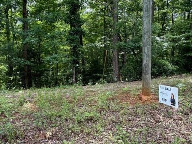 Land for sale in Rutherford, North Carolina