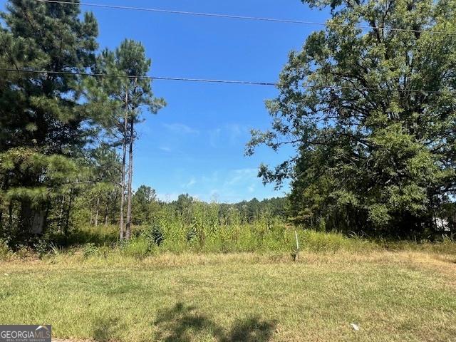 Land for sale in Zebulon, Georgia