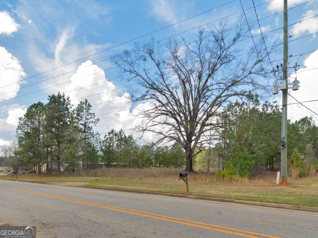 Land for sale in Zebulon, Georgia