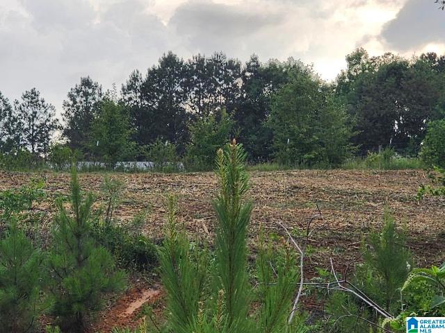 Land for sale in Blount, Alabama