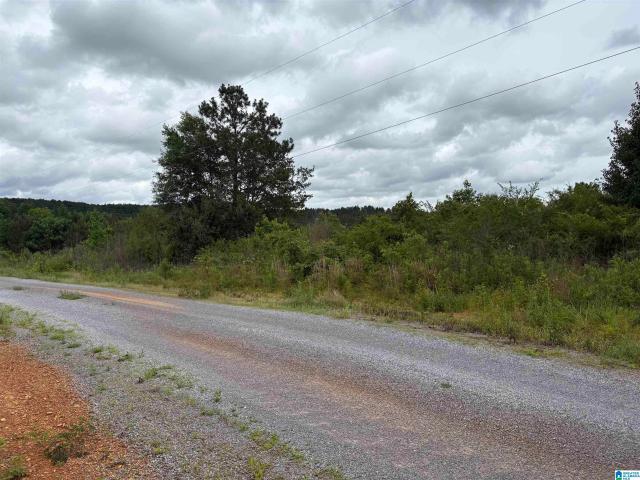 Land for sale in Blount, Alabama