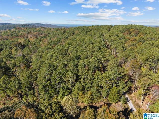 Land for sale in Hayden, Blount County