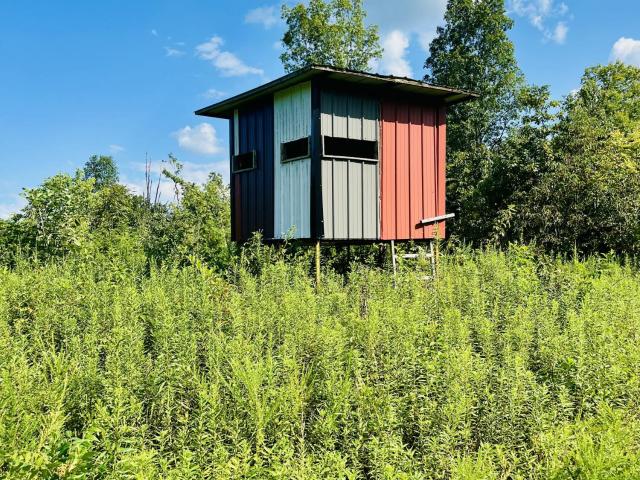 Farm for sale in Columbia, Kentucky