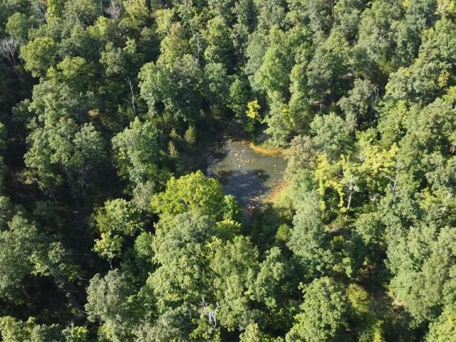 Land for sale in Columbia, Adair County