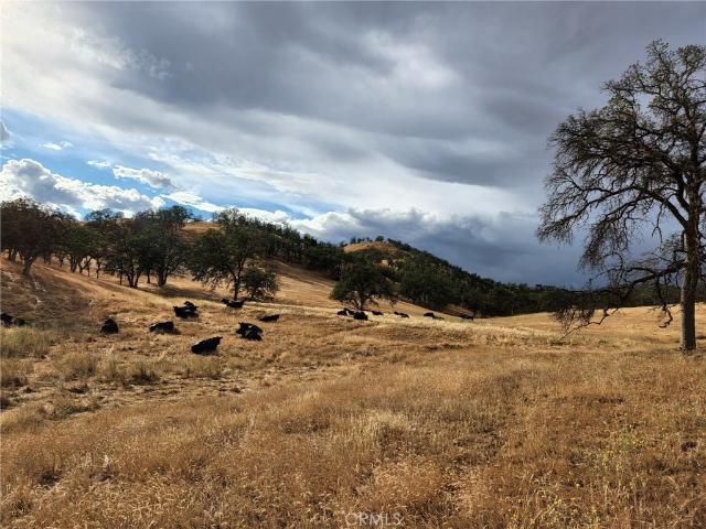 Land for sale in Glenn, California
