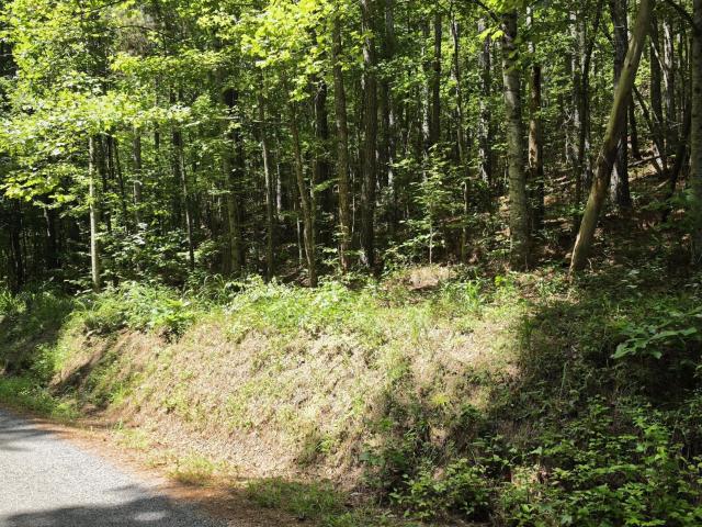 Land for sale in Tennessee