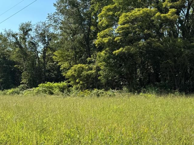 Land for sale in Westport, Indiana