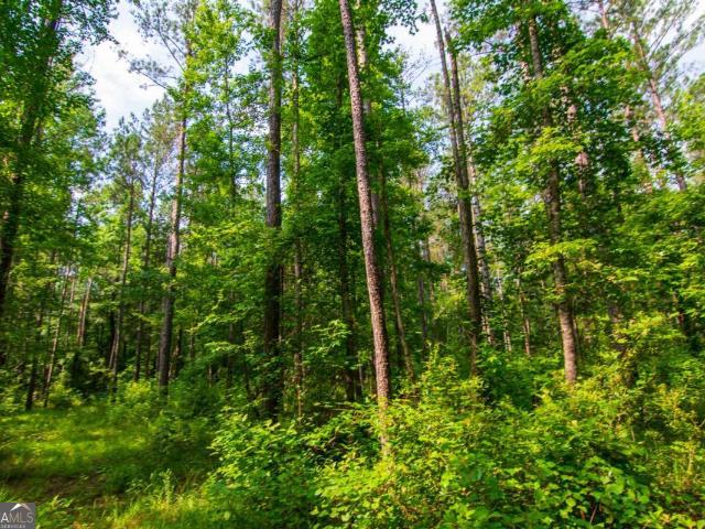 Land for sale in Waverly Hall, Georgia