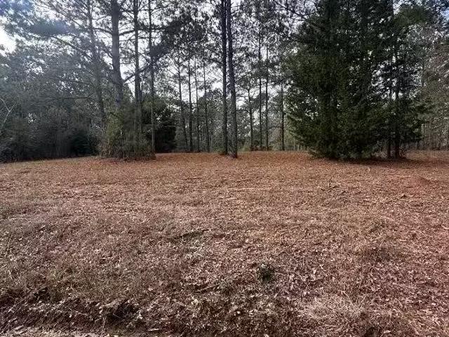 House for rent in Troy, Alabama