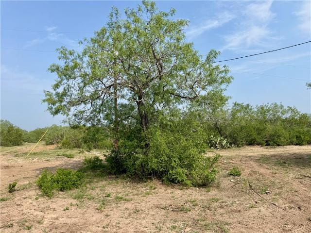 Land for sale in San Diego, Texas