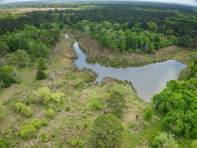 Land for sale in Palestine, Texas