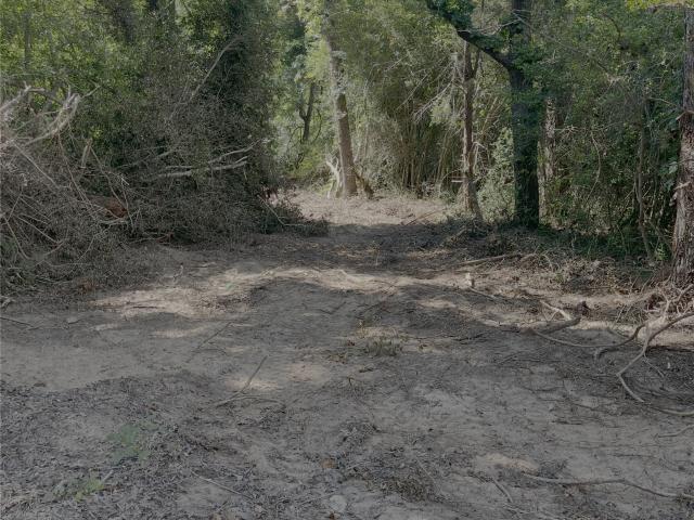 Land for sale in Grapeland, Texas