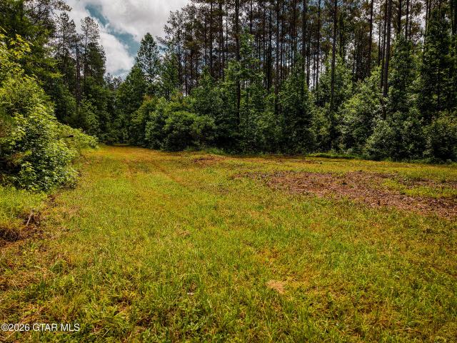 Land for sale in Vardaman, Mississippi