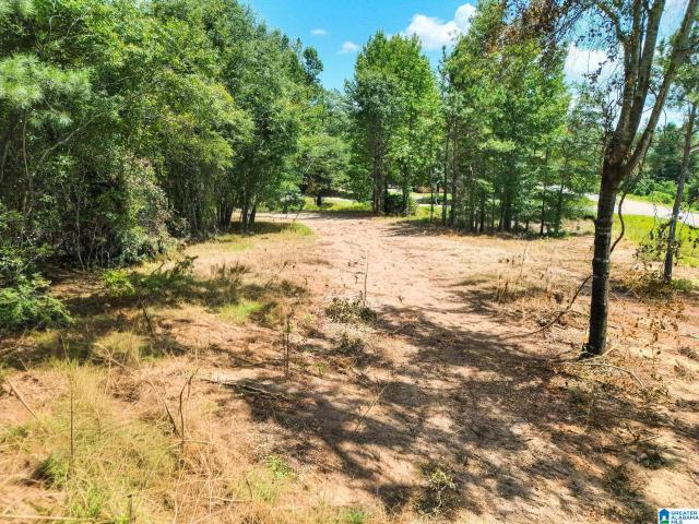 Land for sale in Jemison, Chilton County