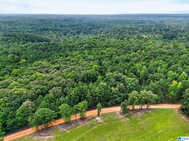 Land for sale in Jemison, Alabama