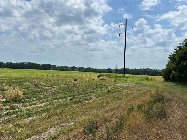 Land for sale in Headland, Henry County