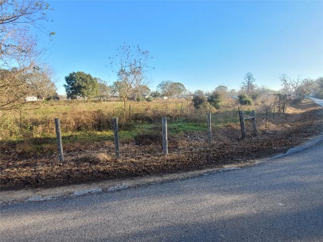 Land for sale in Damon, Texas