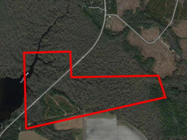 Land for sale in Saint Johns, Florida