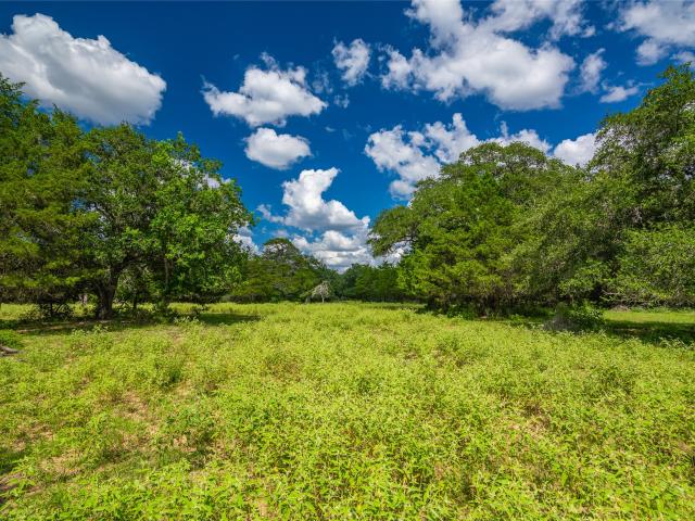 Land for sale in Hallettsville, Texas