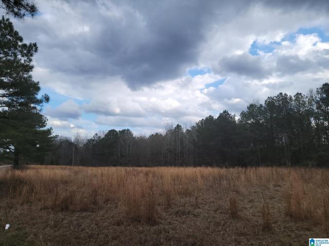 Land for sale in Maplesville, Alabama