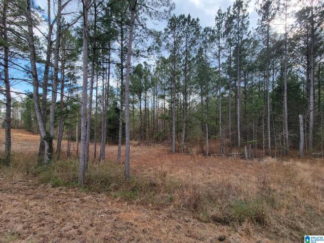 Land for sale in Maplesville, Alabama