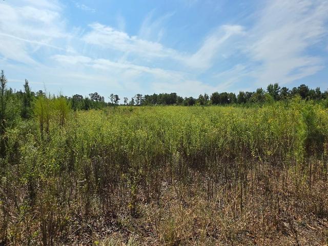 Land for sale in Pletcher, Maplesville