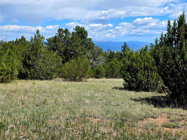 Land for sale in Colorado