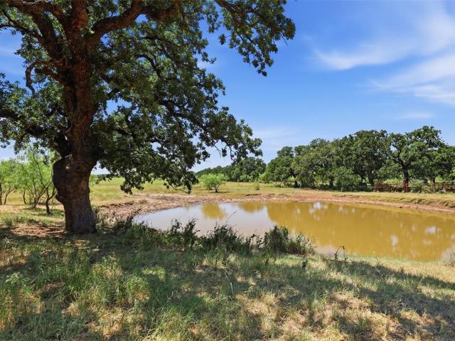 Land for sale in Cisco, Texas