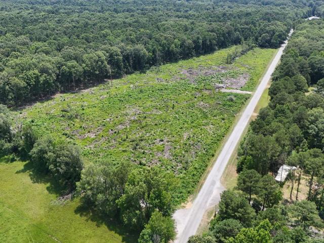 Land for sale in Greensboro, Alabama