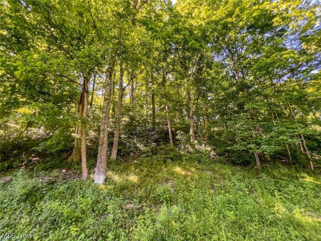 Land for sale in Rayland, Ohio