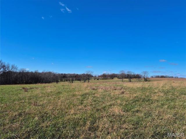 Land for sale in Callaway, Missouri