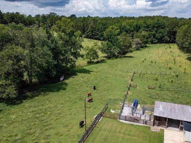Land for sale in Heflin, Alabama