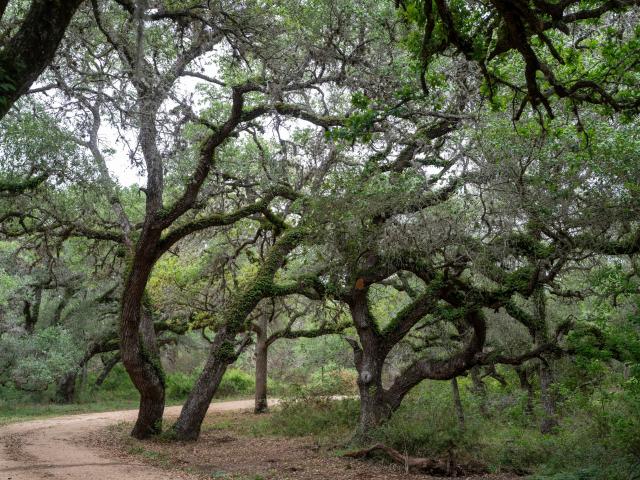 Farm for sale in Hallettsville, Texas