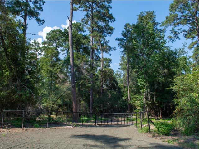 Land for sale in Newton, Newton County