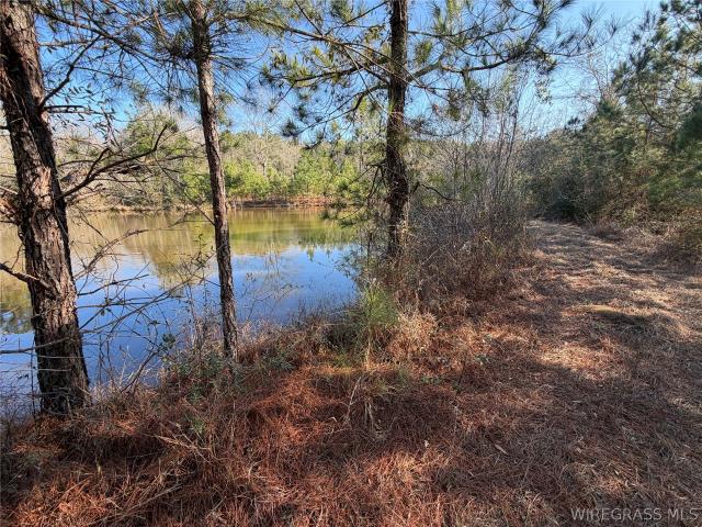 Land for sale in Troy, Alabama