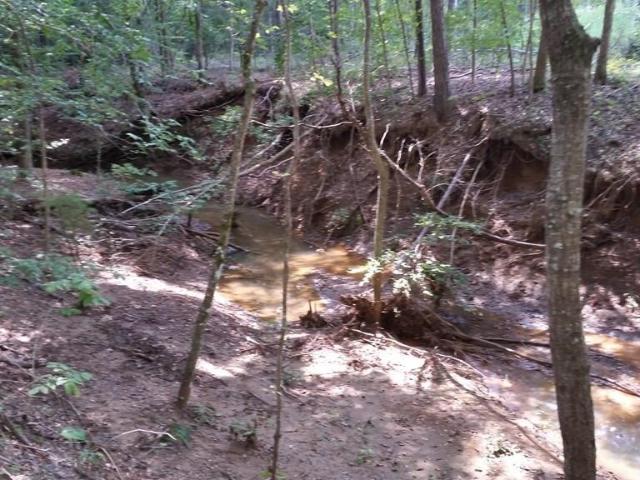 Land for sale in San Augustine, Texas
