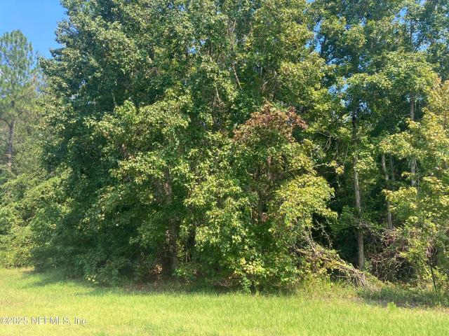 Land for sale in Middleburg, Florida
