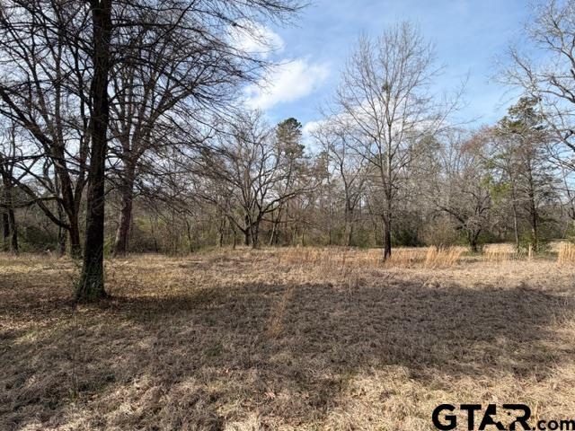 Land for sale in Smith, Texas