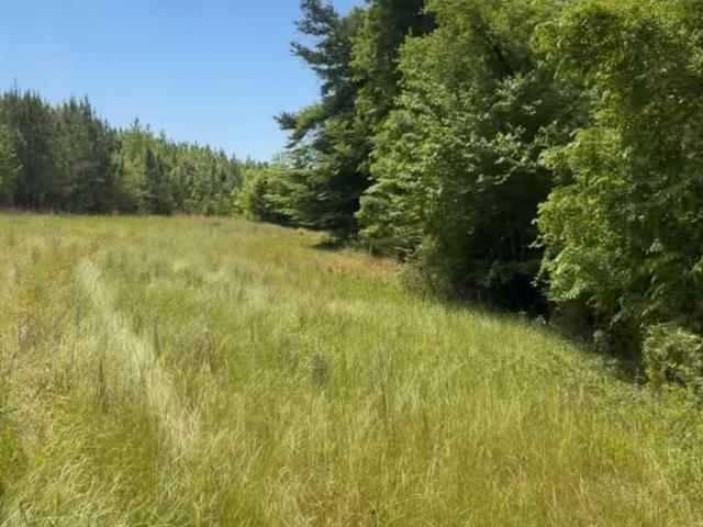 Land for sale in Abbeville, Henry County