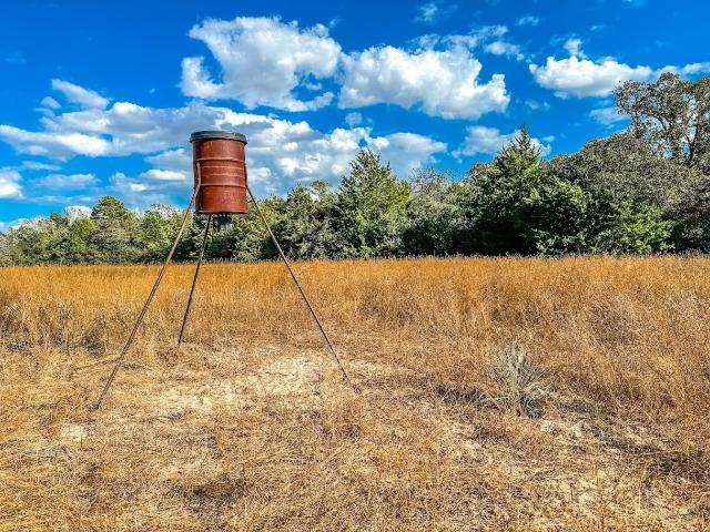 Property for sale in Leon, Texas