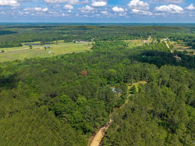 Land for sale in Elba, Alabama