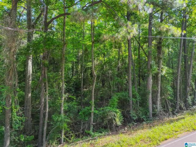Land for sale in Billingsley, Alabama