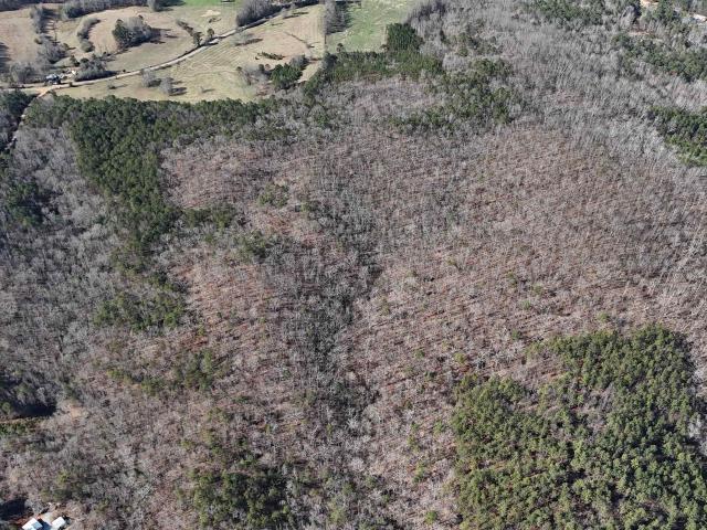 Land for sale in Wedowee, Alabama