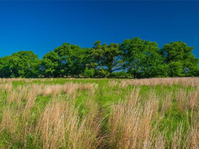 Land for sale in Naples, Texas
