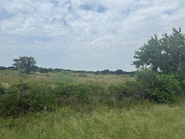 Land for sale in Damon, Texas